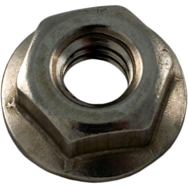 Pentair  Hex Nut 1/4 x 20 SS