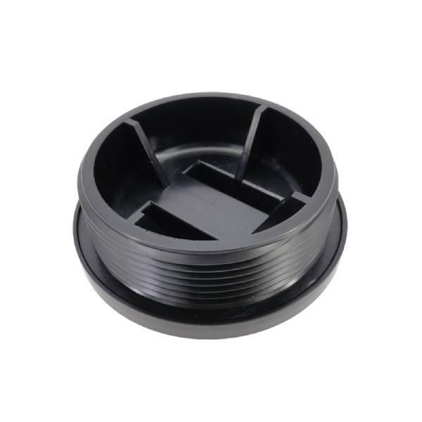 Pentair Filter Drain Plug 2in. Npsm In The Swim