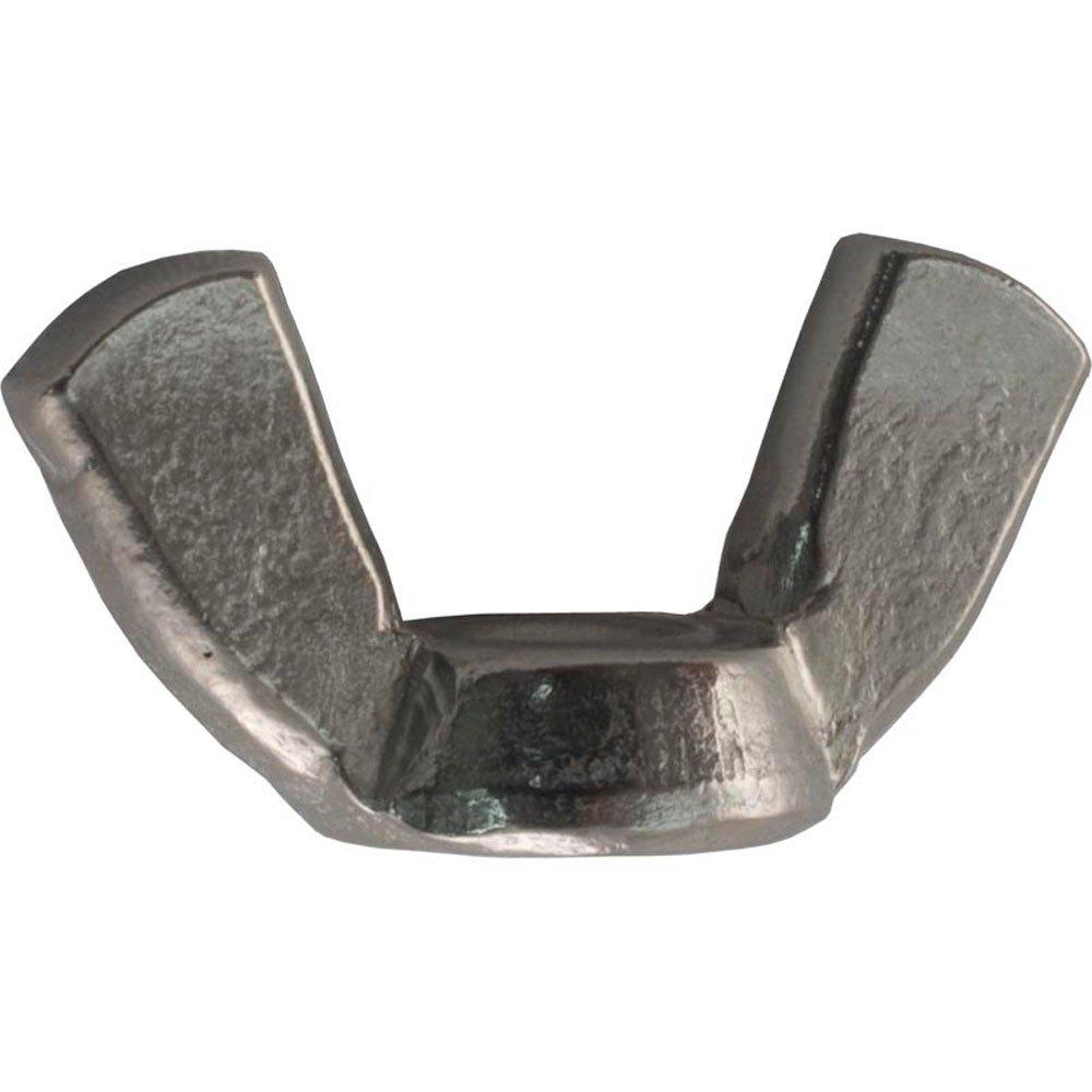 Pentair  Wing Nut