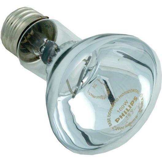 Hayward  100W 12V Reflector Flood bulb screw-in