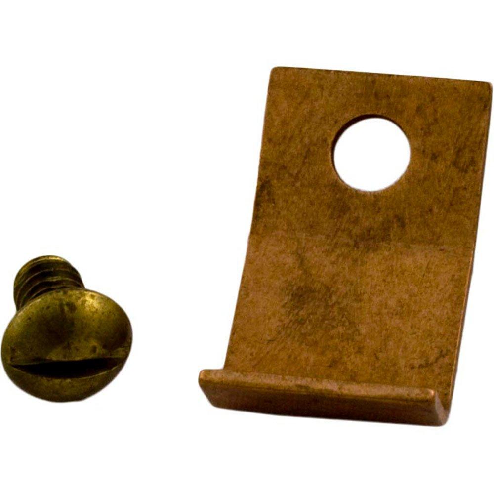 Hayward Clip - Spring with Screw 1958-65