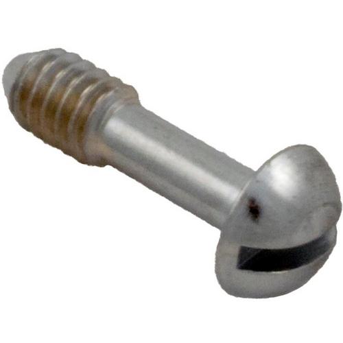 Hayward - Lockscrew - Face Rim with Washer