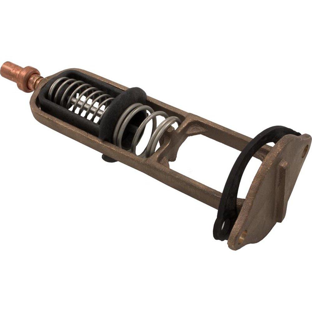 Pentair  Flow Valve Assembly Minimax (Standard)