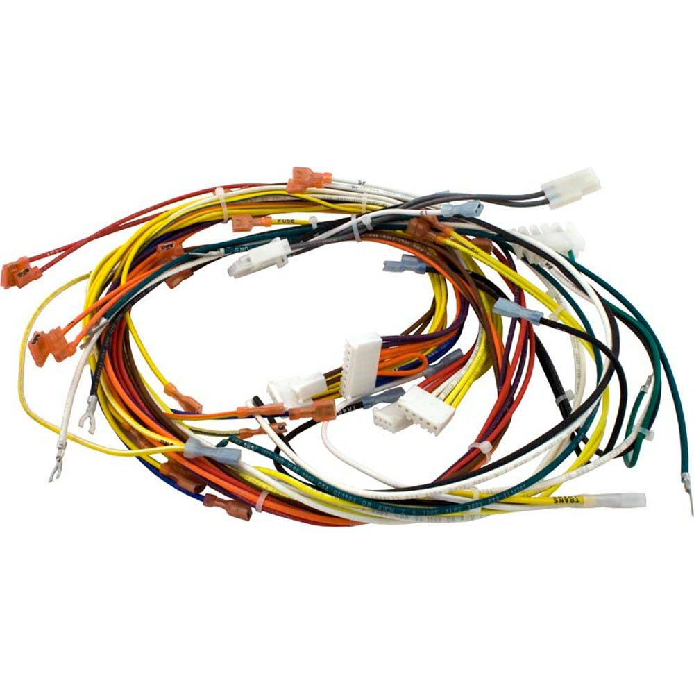 Pentair  Heater Wiring Harness