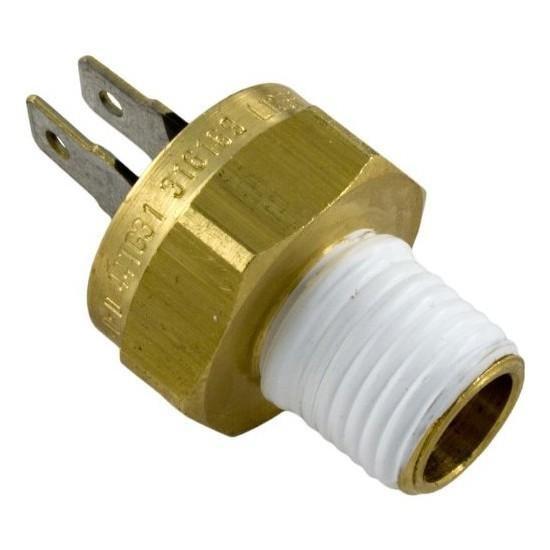 High Limit Switch for Max-E-Therm/MasterTemp