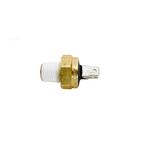 Pentair  Automatic Gas Shut-Off Switch for Max-E-Therm/MasterTemp