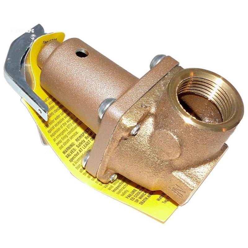 Raypak Valve Kit Pressure Relief 125 PSI In The Swim