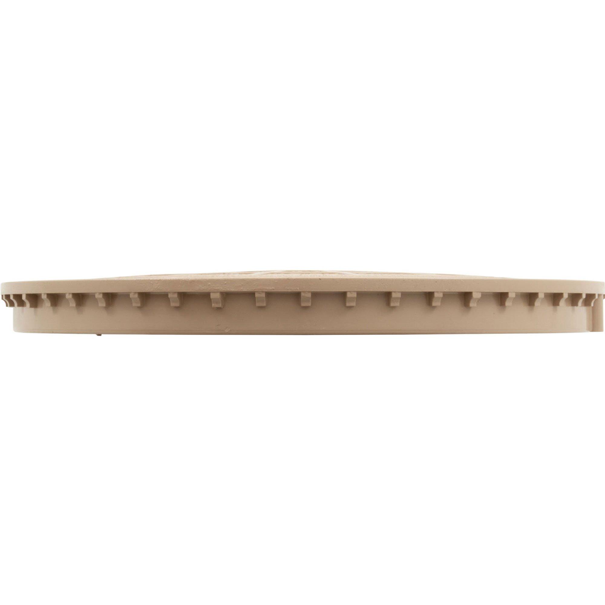 Pentair  Cover Skimmer (Tan)