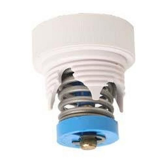 Pentair  Pressure Relief Valve Blue F/Wall Fitting