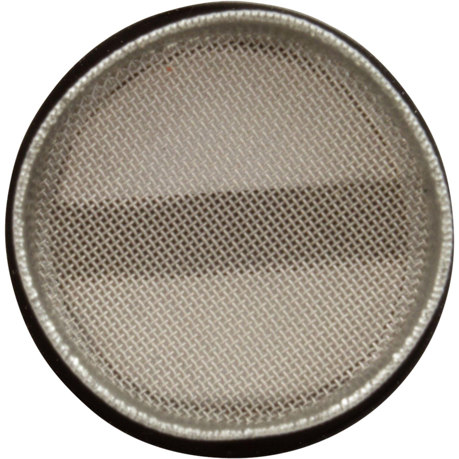 Pentair  Screen Wall Fitting (Length 1-5/8in x 1-1/4in Diameter)