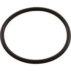 All Seals  Replacement Feed Pipe O-Ring for Polaris 360/380