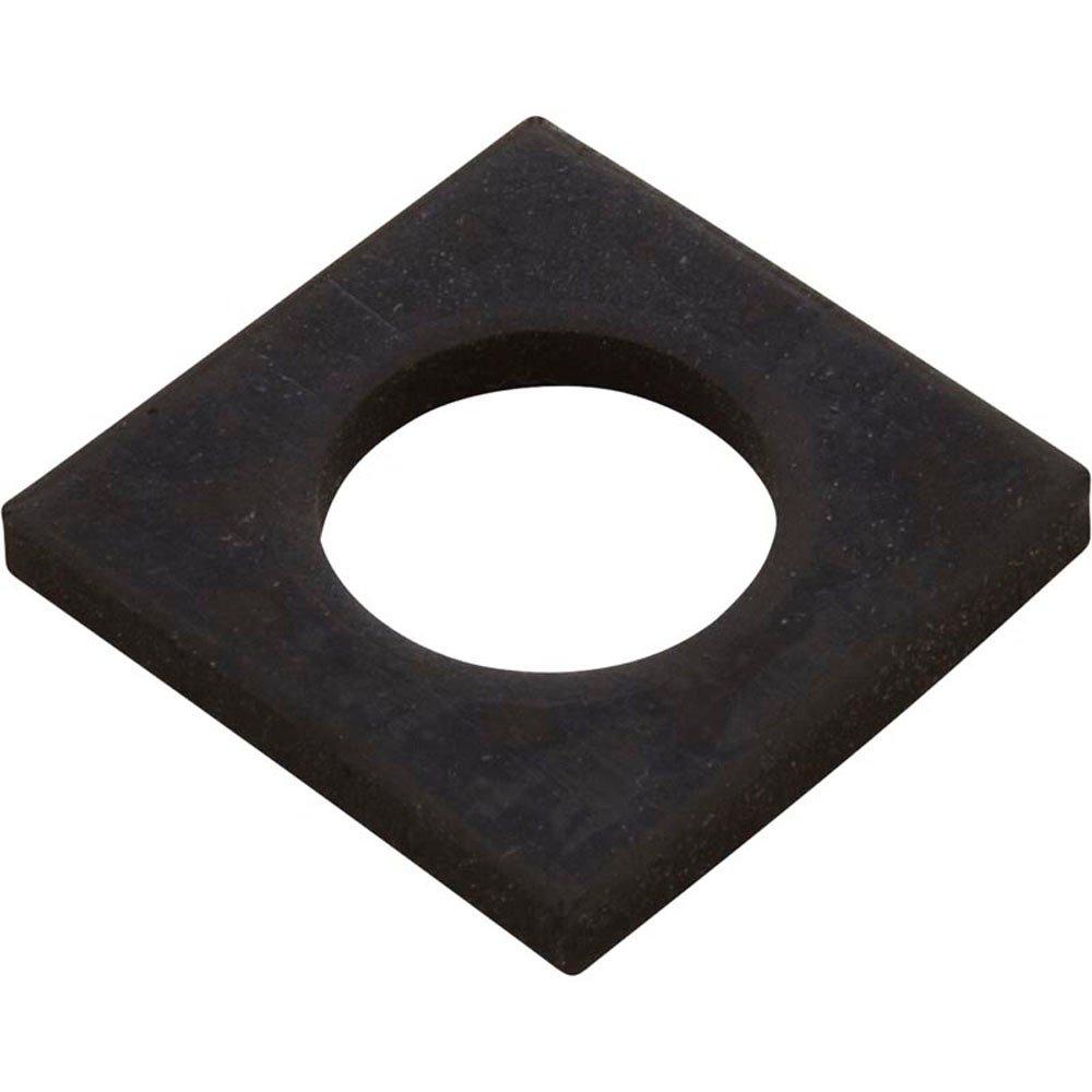 Gasket - Scoop