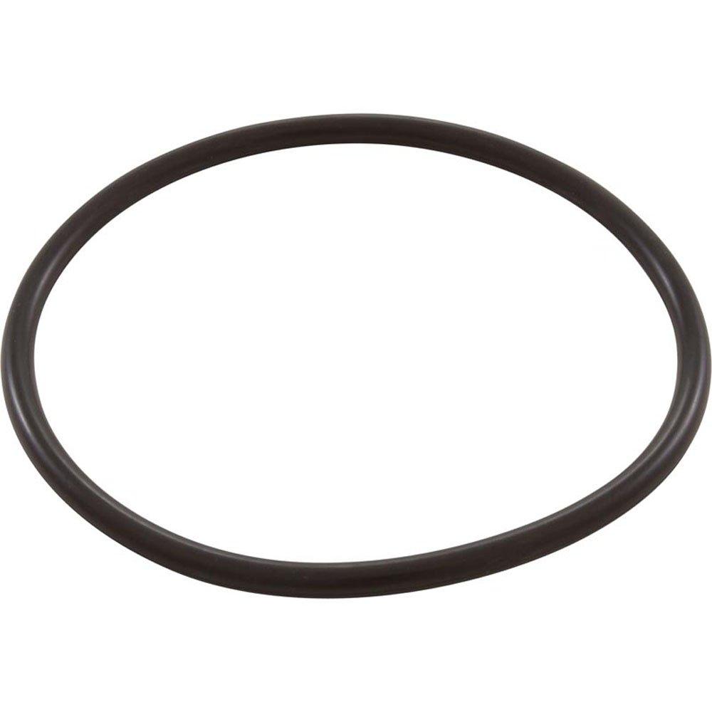 Aladdin  Rainbow Chlorinator 300/302 Series Lid O-Ring