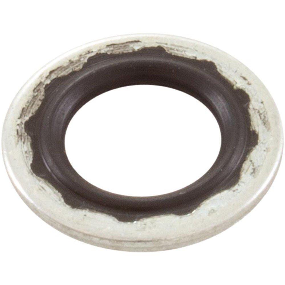 Pentair - Gasket