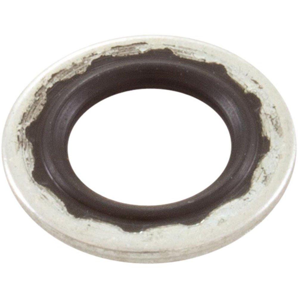 Pentair  Gasket