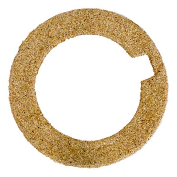 Pentair  Gasket Seal