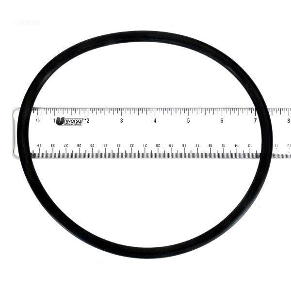 Pentair  O-Ring
