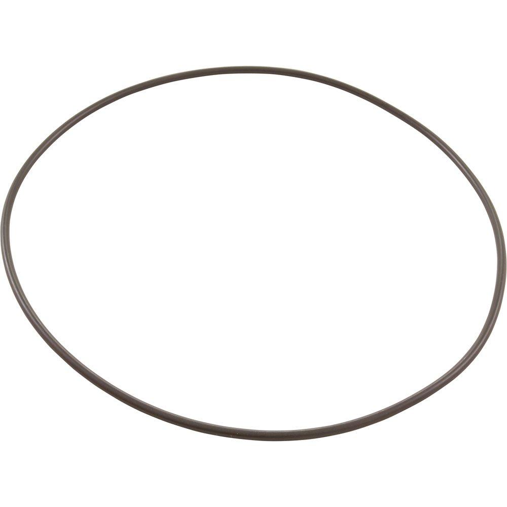 Pentair ORing Skimmer Body Float Valve Leslie's Pool Supplies