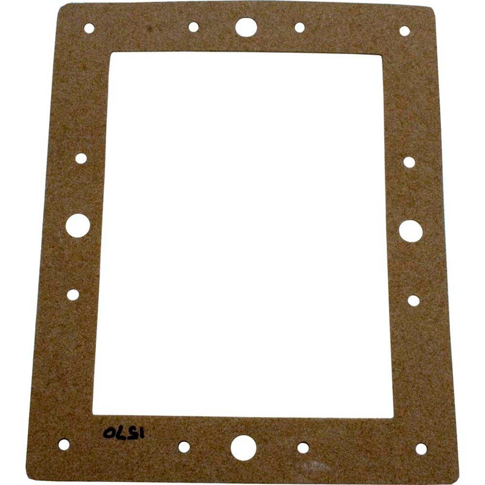 Pentair  Gasket Standard Throat