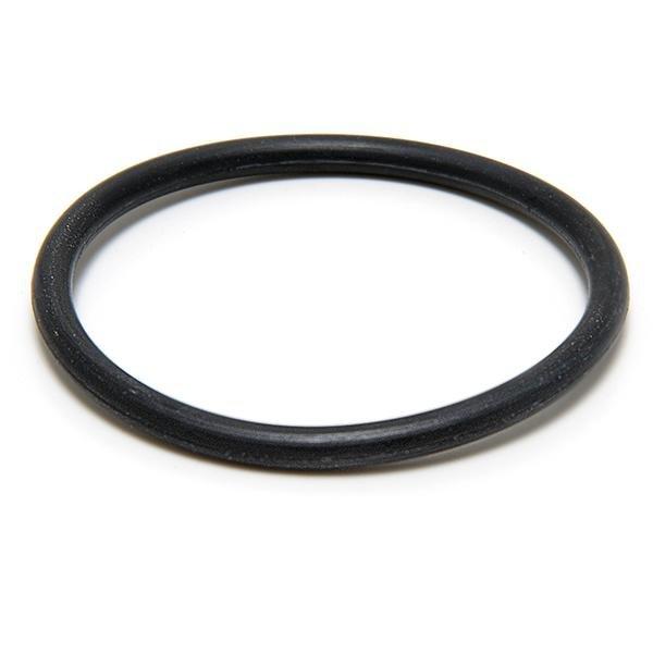 Balboa Heater O-Ring 1-1-2in. | Leslie's Pool Supplies