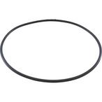 All Seals  Replacement Volute O-Ring