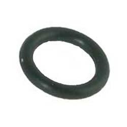 Pentair  O-Ring for Drain Plug