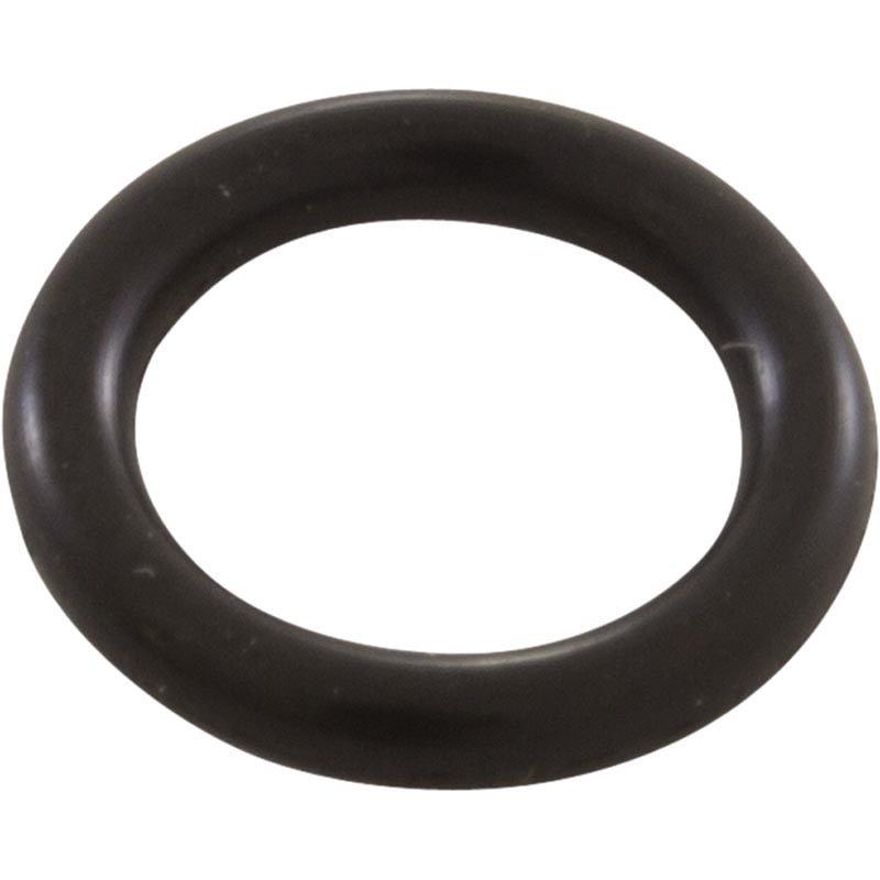 Pentair  O-Ring for Drain Plug