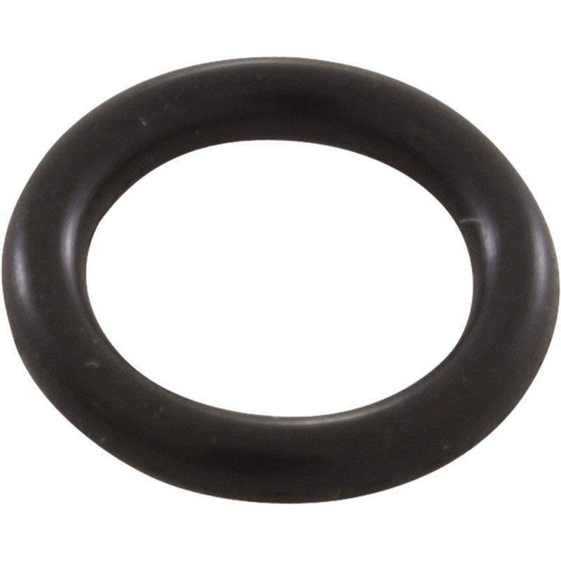 Pentair ORing for Drain Plug Leslie's Pool Supplies