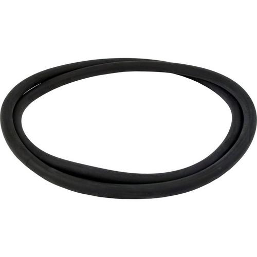 Pentair - 24850-0008 Cord O-Ring for 21" Sta-Rite System 3 Filter Tank