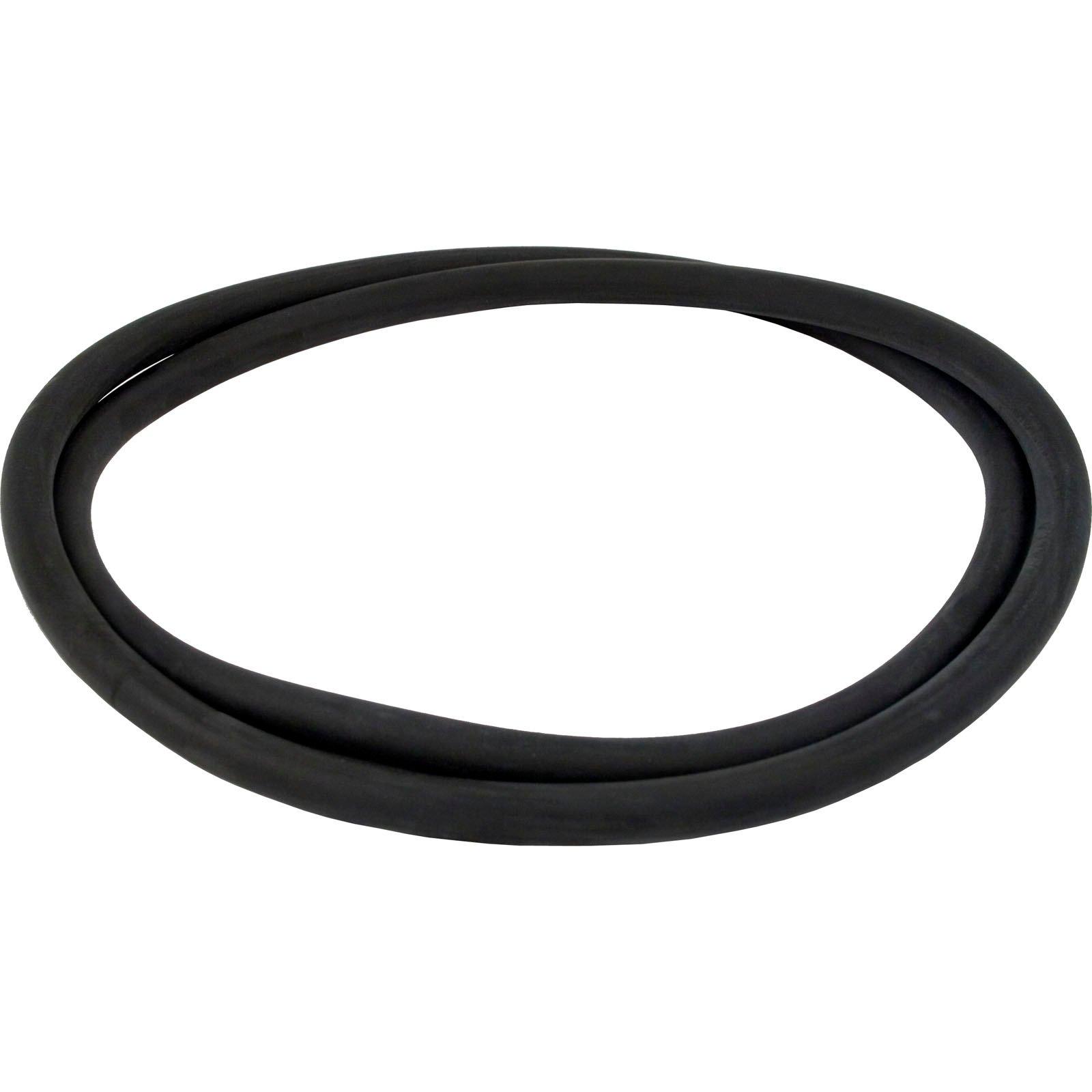 All Seals  Replacement Cord O-Ring for 21 Sta-Rite System 3 Filter Tank