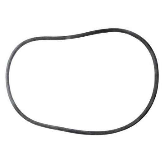 All Seals  Replacement Cord O-Ring for 21 Sta-Rite System 3 Filter Tank