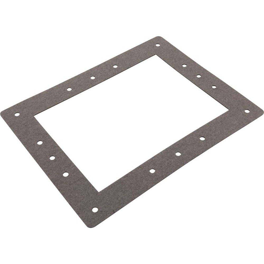 Pentair  Gasket Face Plate