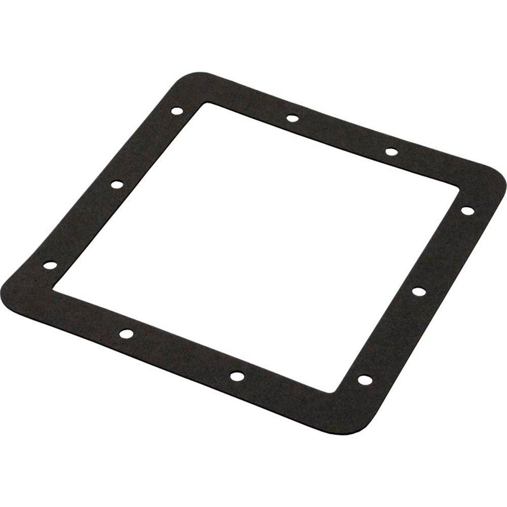 Waterway  Gasket Faceplate