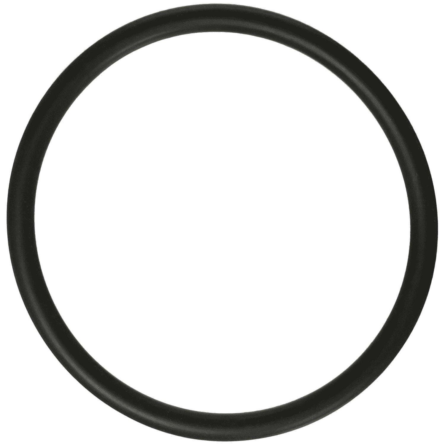 All Seals - Replacement Filter Bulkhead O-Ring, 2.725in. ID
