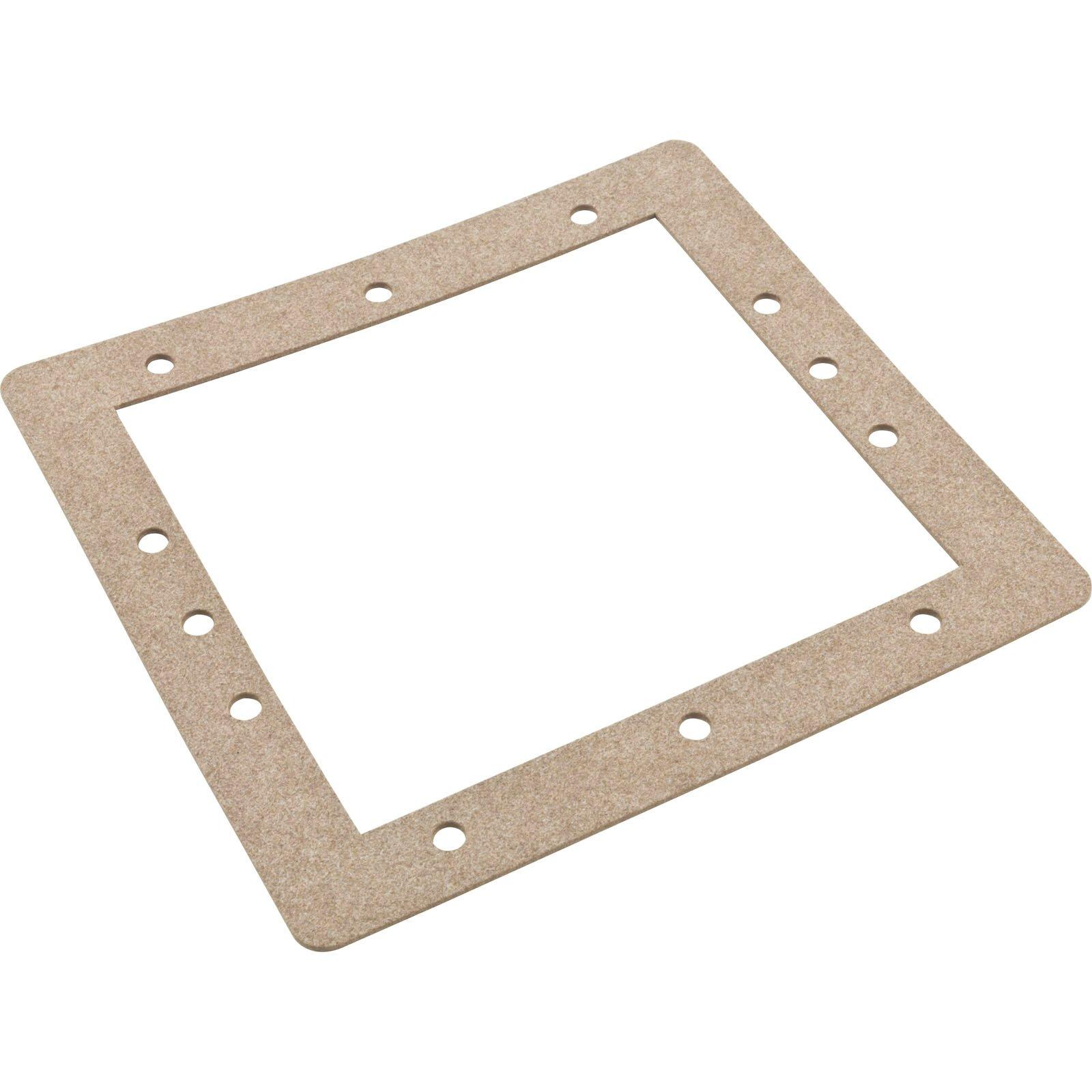 Pentair  Gasket Rear