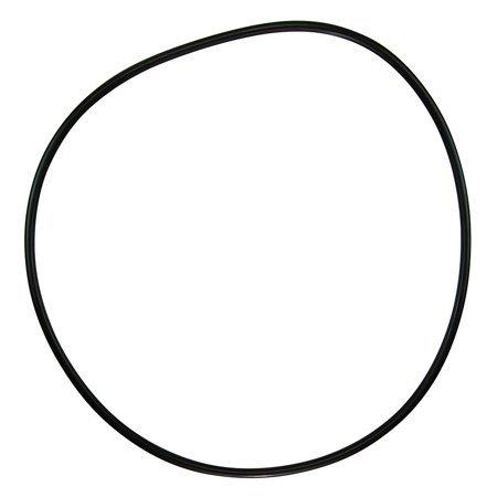 Pentair Purex O-Ring Lid - 071433