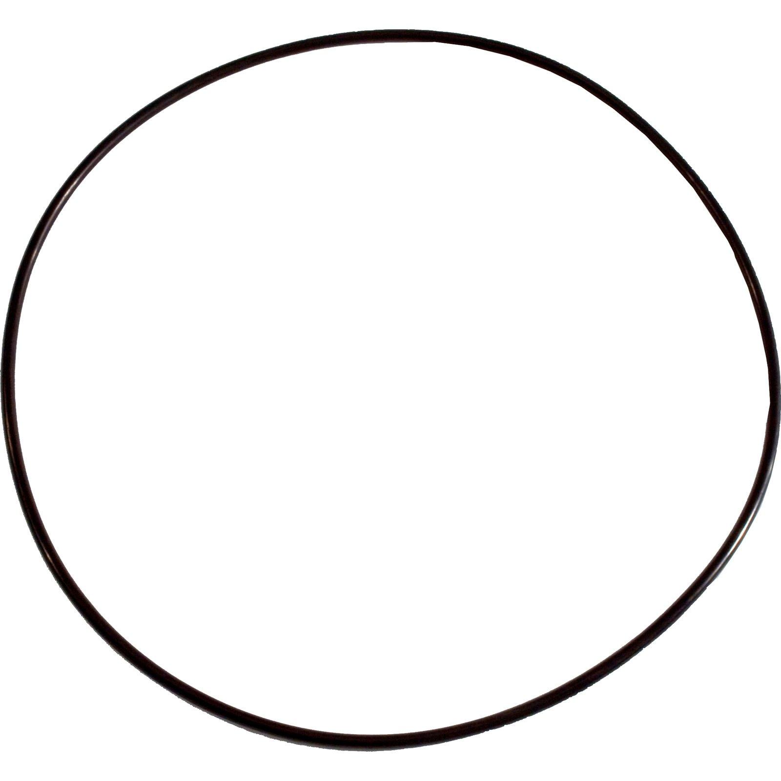 Pentair  O-Ring Pentair Purex Whisperflo Seal Plate Pre 6/94