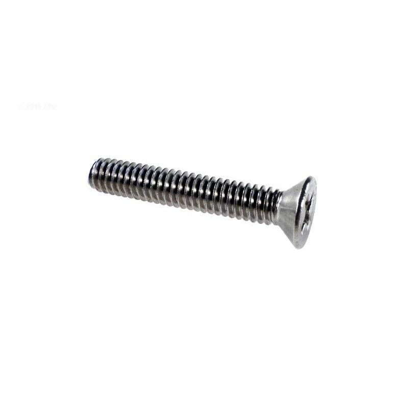 Pentair  Screw Cover #8-32 x 1in  Flat Head Phil