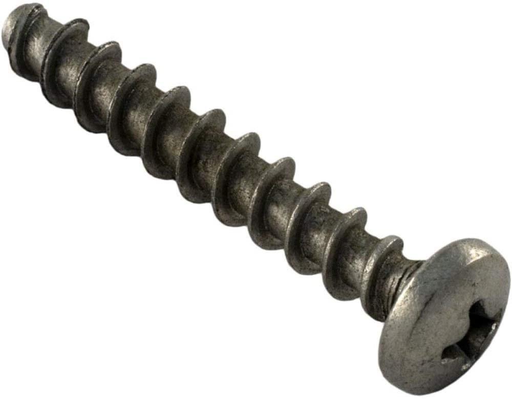 Pentair  Screw 1-1/4in Length