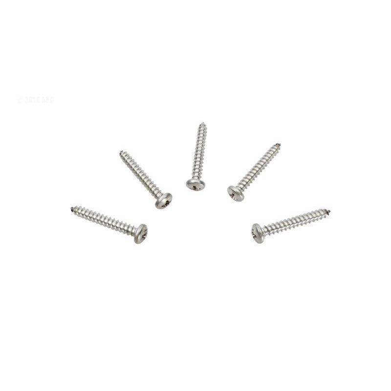 Pentair  Kreepy Krauly Pool Cleaner Screw (5)