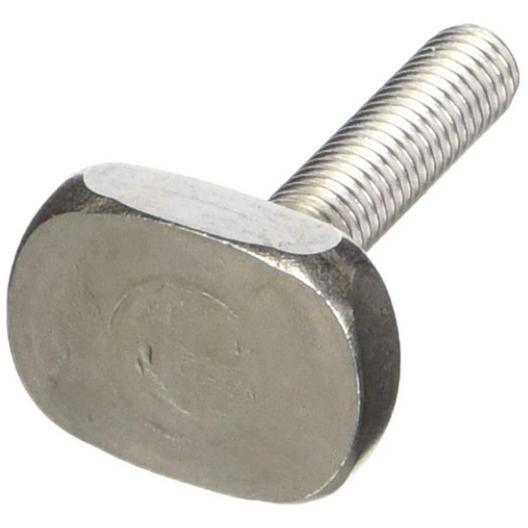 Pentair  Clamp Bolt for System 3
