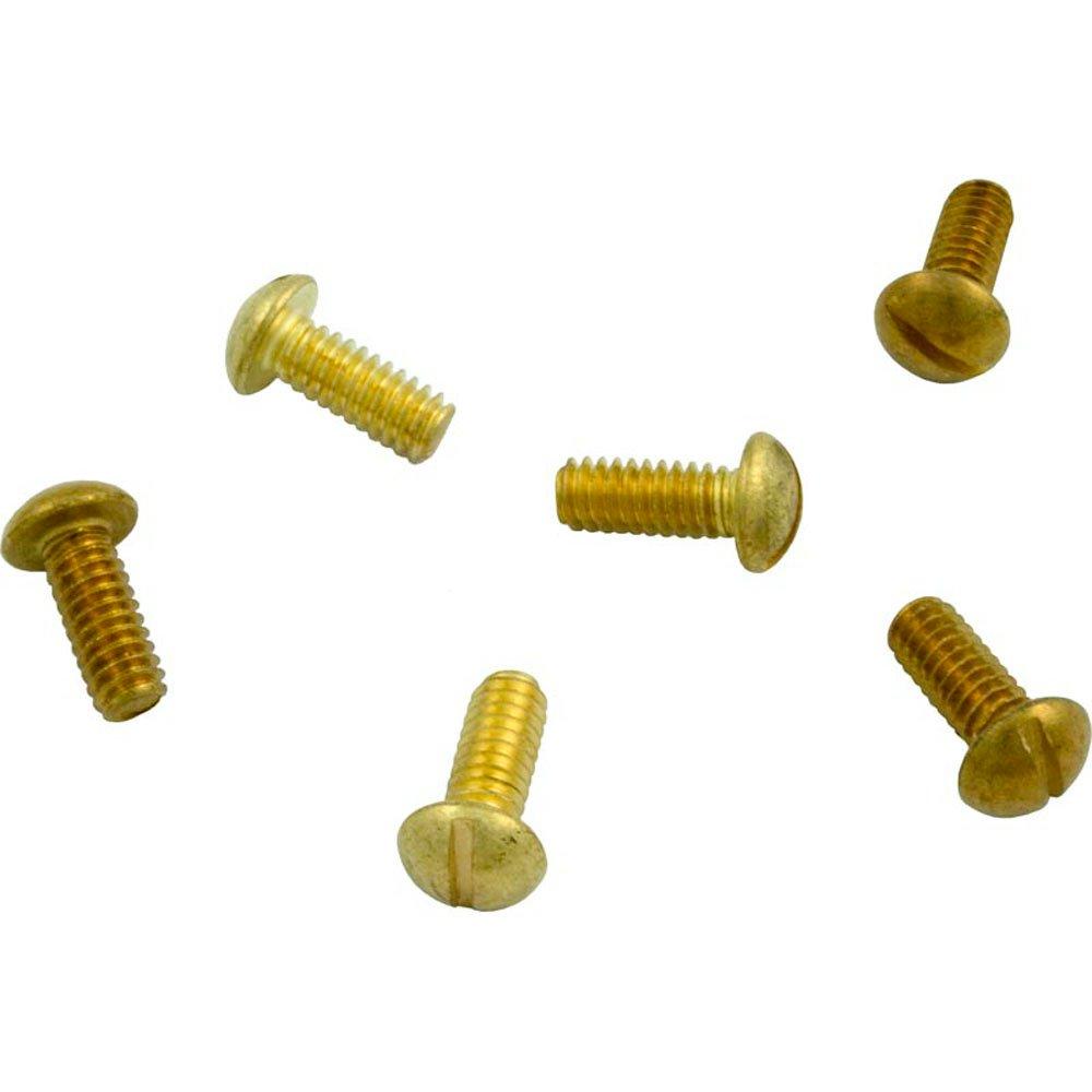 Hayward  Screw  Securing Rim  Set Of 6