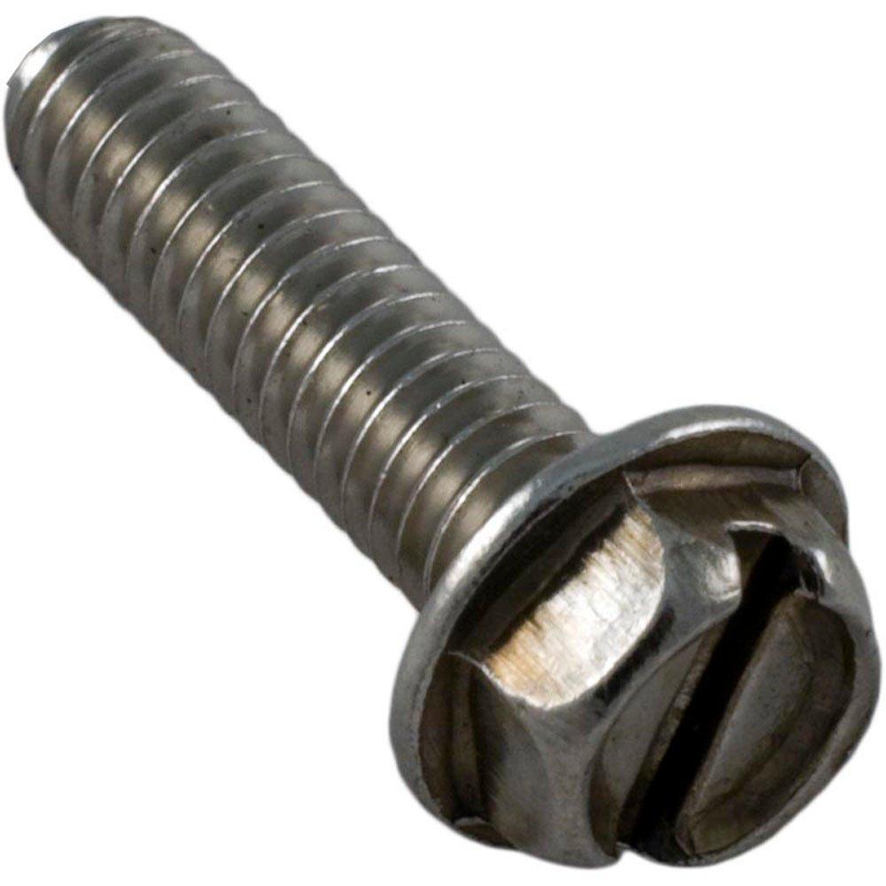 Pentair  Screw Hex Head