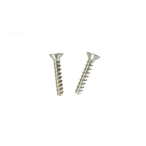 Hayward - Screw, Plate - Set of 2