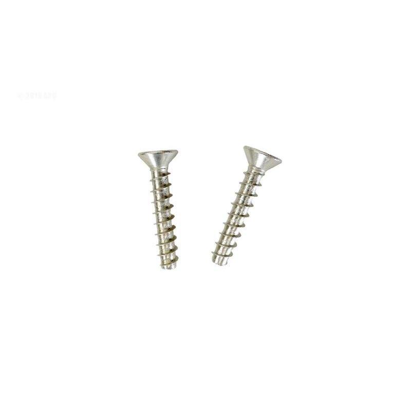 Hayward  Screw Plate  Set of 2