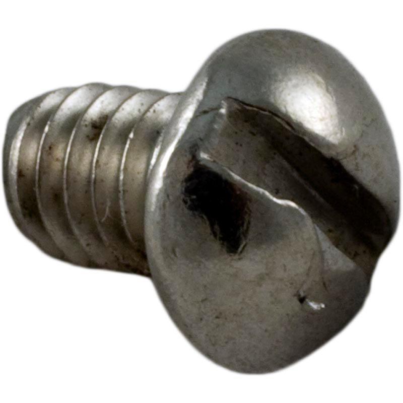 Pentair  Screw