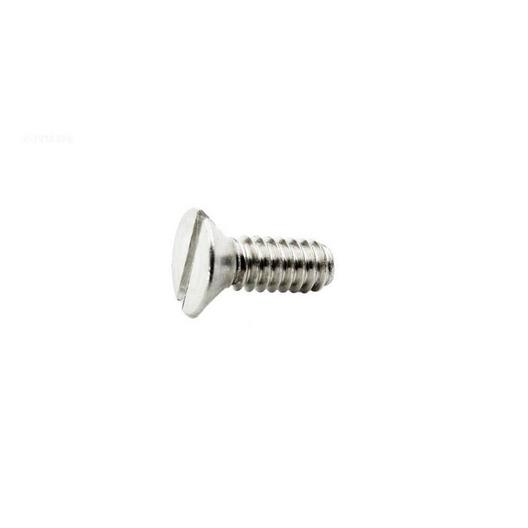 Hayward  Screw Cover