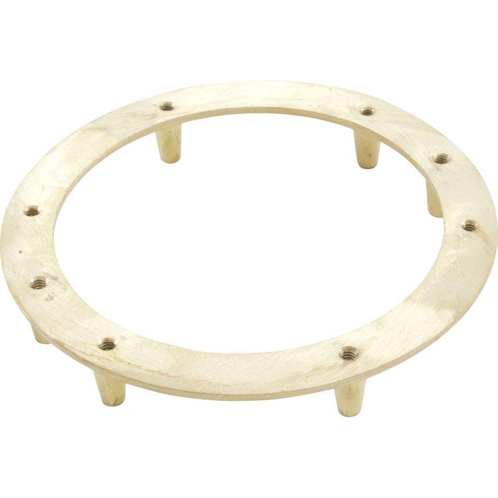 Pentair  Back Up Ring