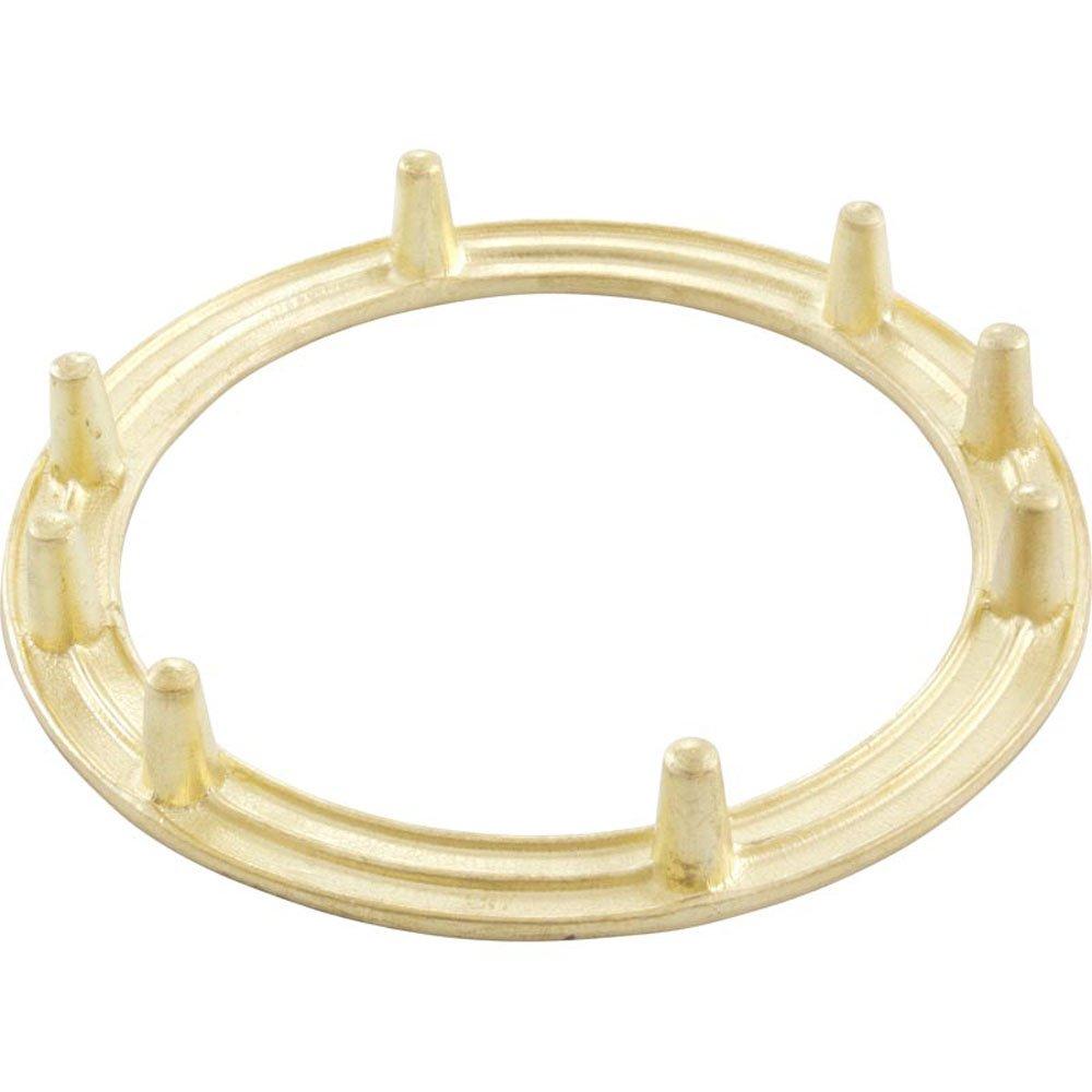 Pentair  Back Up Ring