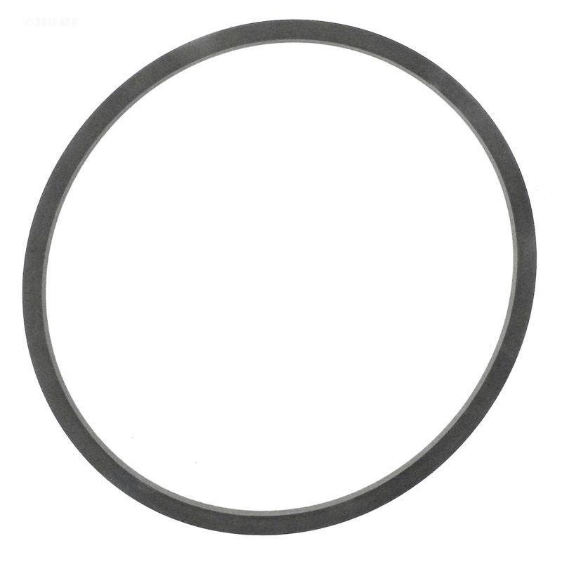 Pentair  Gasket